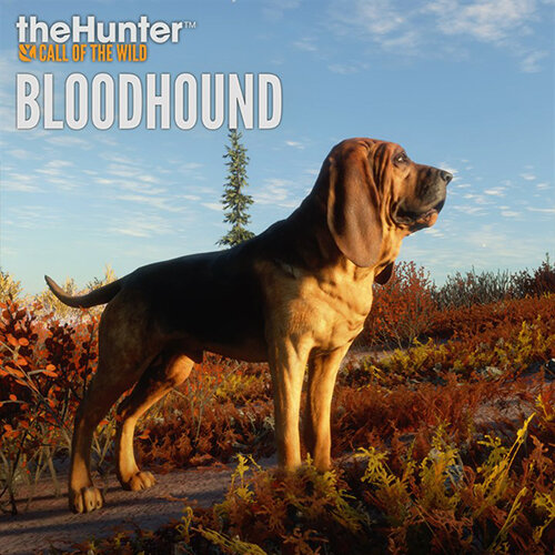 theHunter Call of the Wild - Bloodhound DLC - Multilanguage