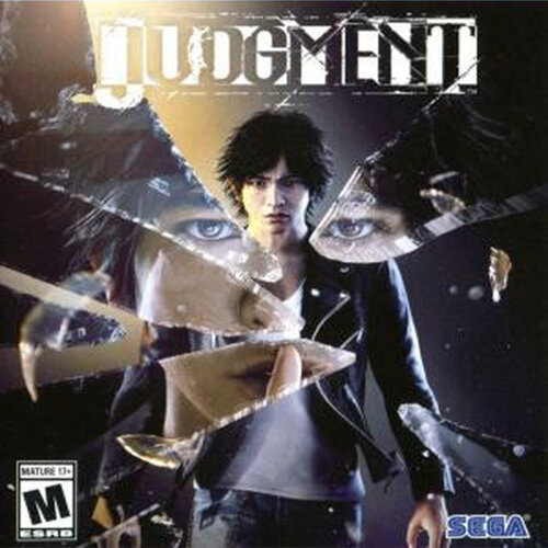 Judgment - Multilanguage
