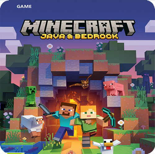 Minecraft Java Edition & Bedrock Edition Global